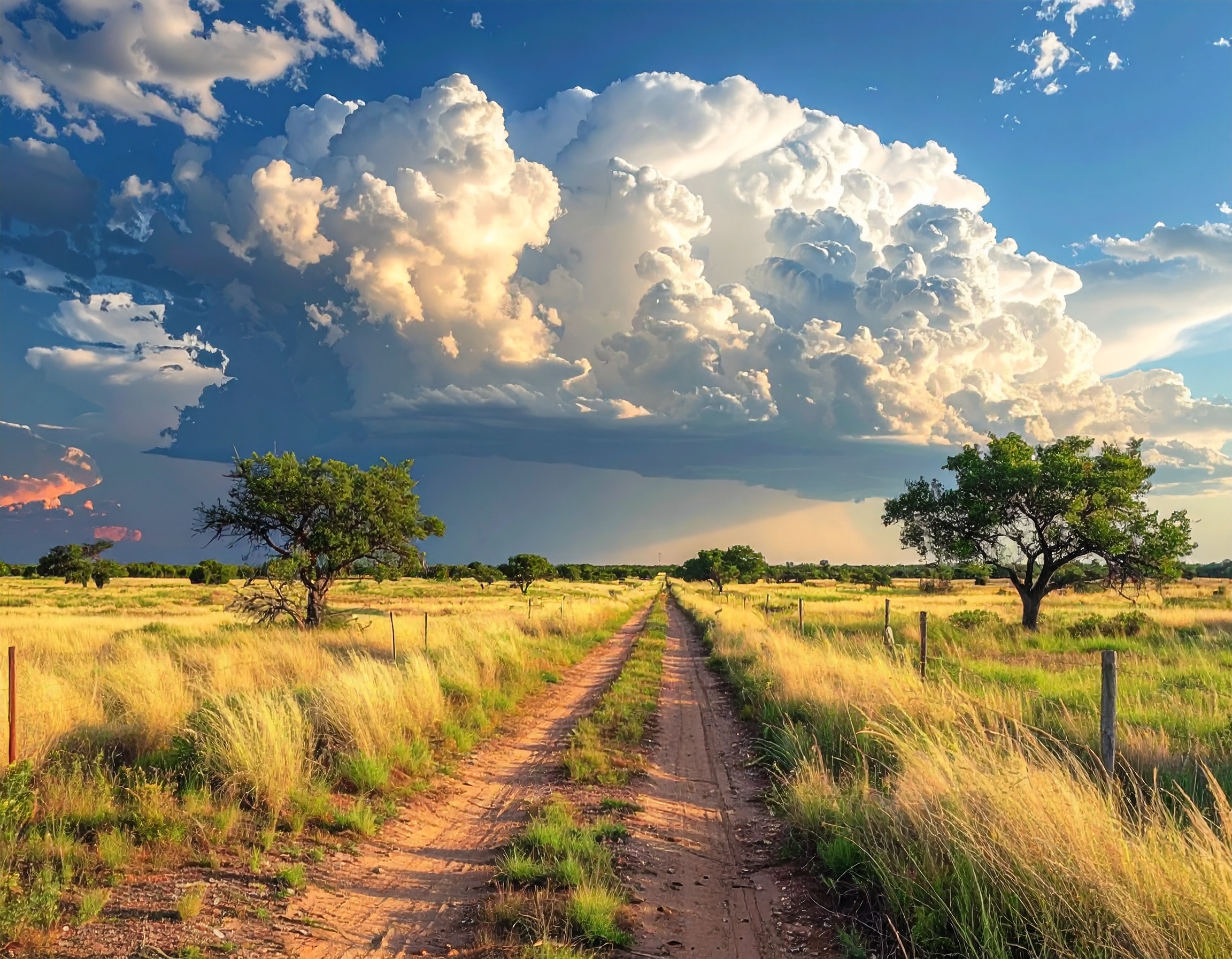 Injury Attorney Kevin Knight